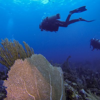 Belize Diving Tours