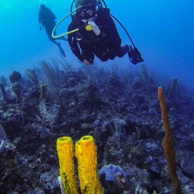 Belize Diving Tours