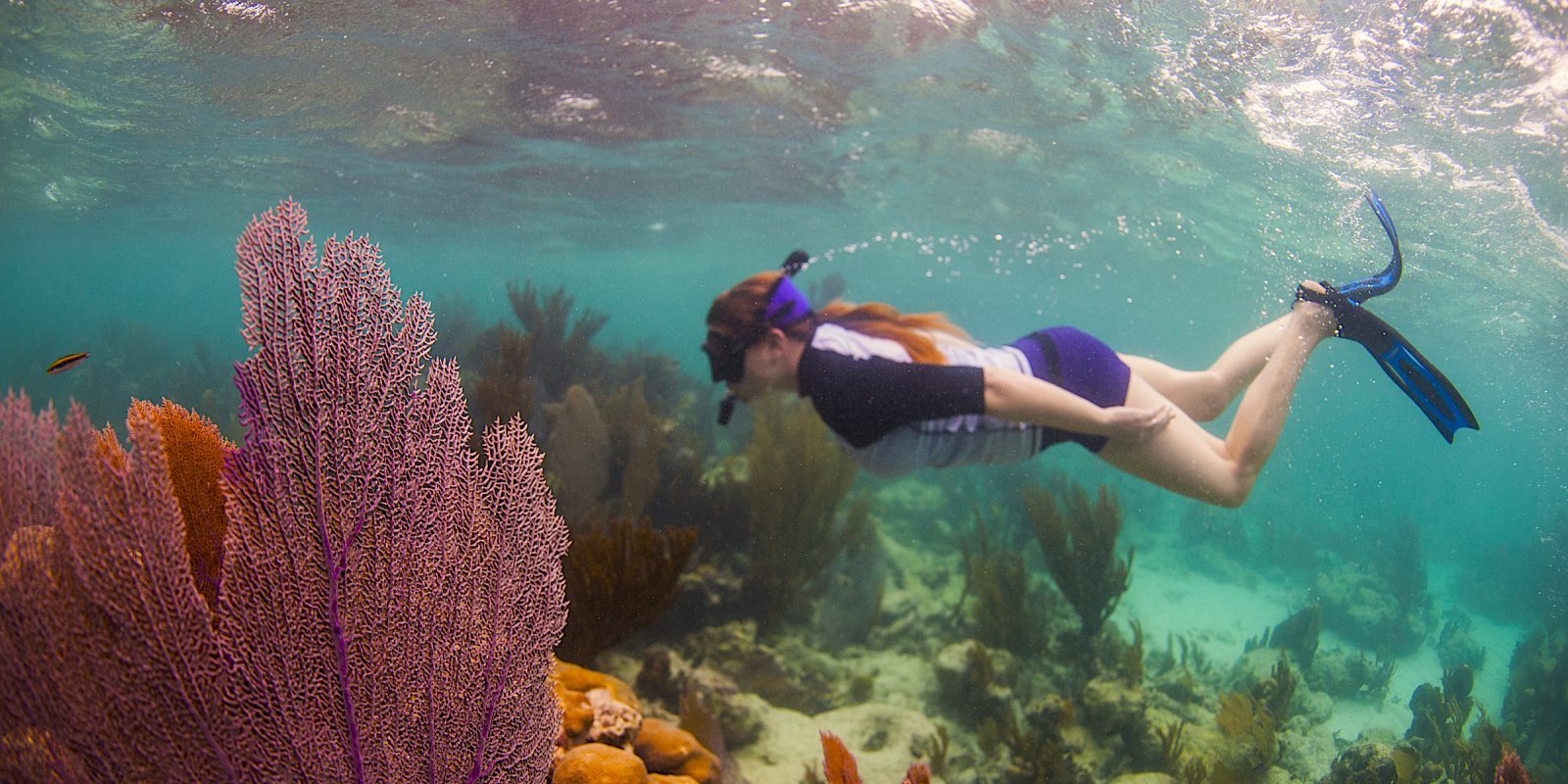 best snorkeling trips in belize