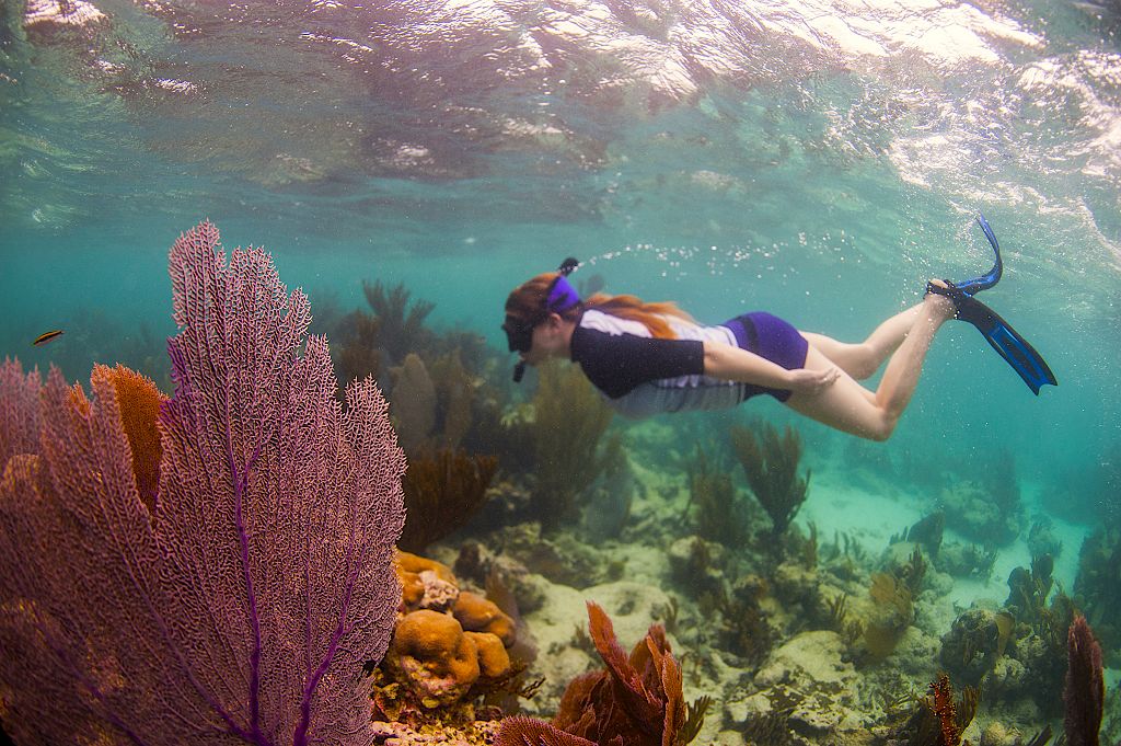 Belize Snorkeling package