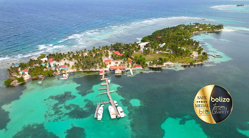 Blue Marlin Belize COVID Travel
