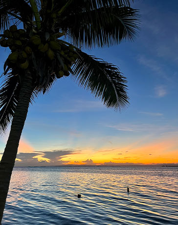 Belize Beach Resort