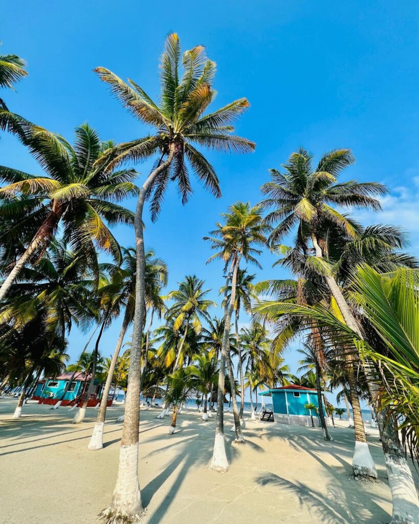 Blue Marlin Beach Resort Belize