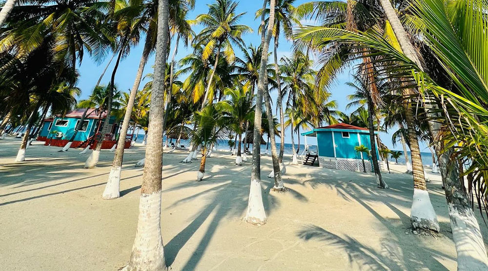 Blue Marlin Beach Resort Belize