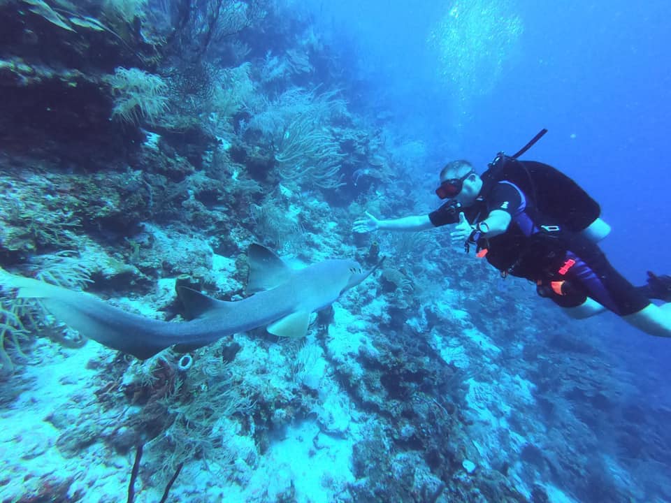 Belize Diving 