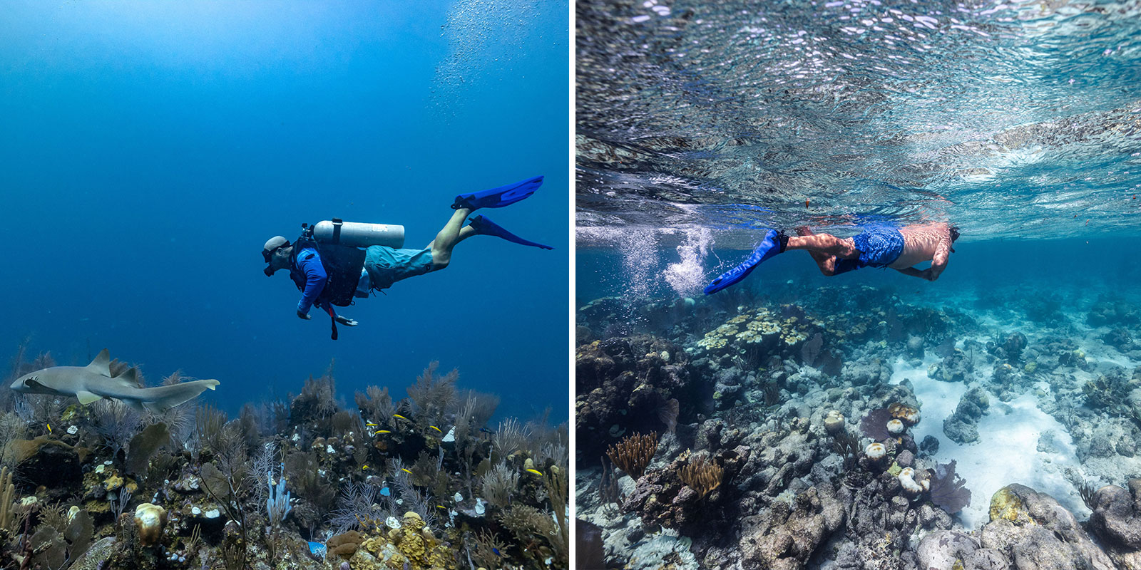 belize diving and snorkeling packages
