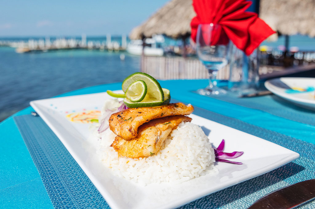 belize fish fillet